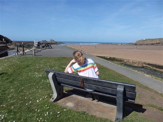 Bench overlooking the beach at Bude, close to Forda Farm Bed and Breakfast, EX22 7BS.
